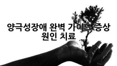 양극성장애 완벽 가이드: 증상, 원인, 치료